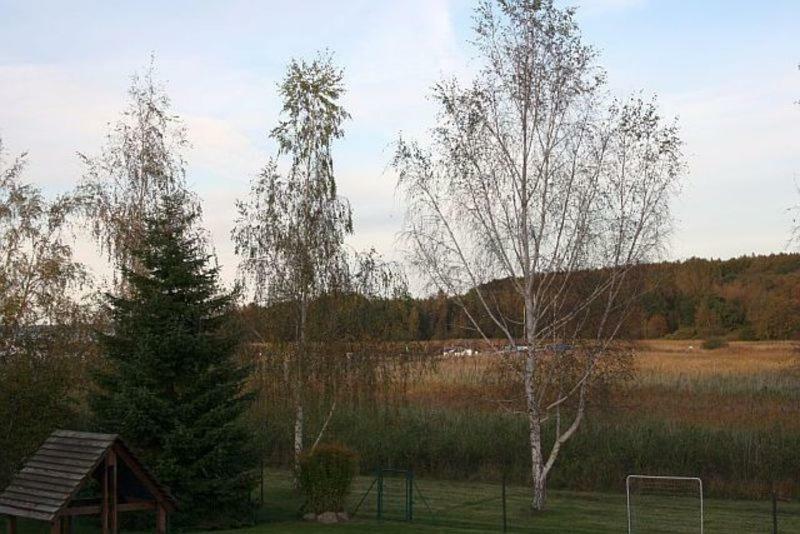 Ferienwohnung Am Bodden ราลส์วีค ภายนอก รูปภาพ
